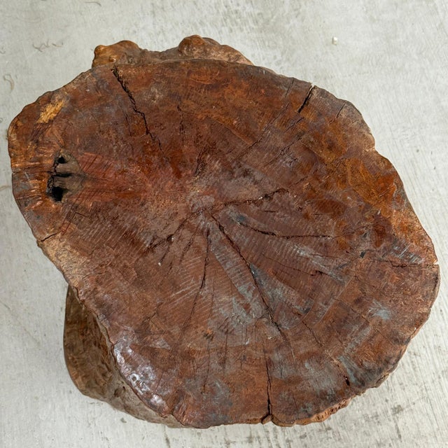 Wood Mid 20th Century Large Light Brown Free-Form Tree Trunk Side Pedestal Table For Sale - Image 7 of 10