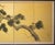 Japanese "Old Pine Tree", Pre-1964 Showa Era Japanese Painted Silk Byobu Screen For Sale - Image 3 of 17