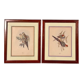 Vintage 1800s John Gould Tropical Birds Color Lithograph Reproductions by Sidney Z. Lucas Circa 1940s - Set of 2 For Sale