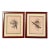 Vintage 1800s John Gould Tropical Birds Parrots Color Lithograph Reproductions by Sidney Z. Lucas Circa 1940s - Set of 2 For Sale