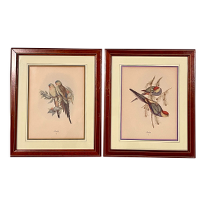 Vintage 1800s John Gould Tropical Birds Parrots Color Lithograph Reproductions by Sidney Z. Lucas Circa 1940s - Set of 2