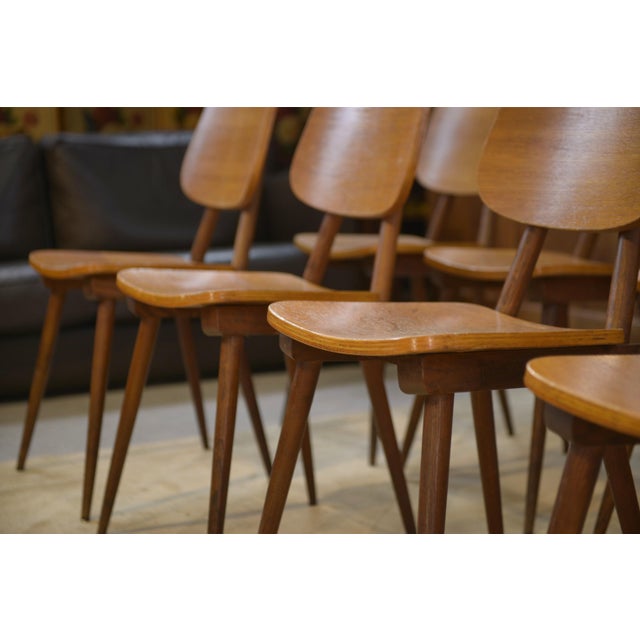 Brown Vintage Brown Oak Chairs, 1960s, Set of 10 For Sale - Image 8 of 11