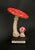 20th Century Educational Mushroom Models attributed to Deyrolle, France, 1960s, Set of 19 For Sale - Image 4 of 10