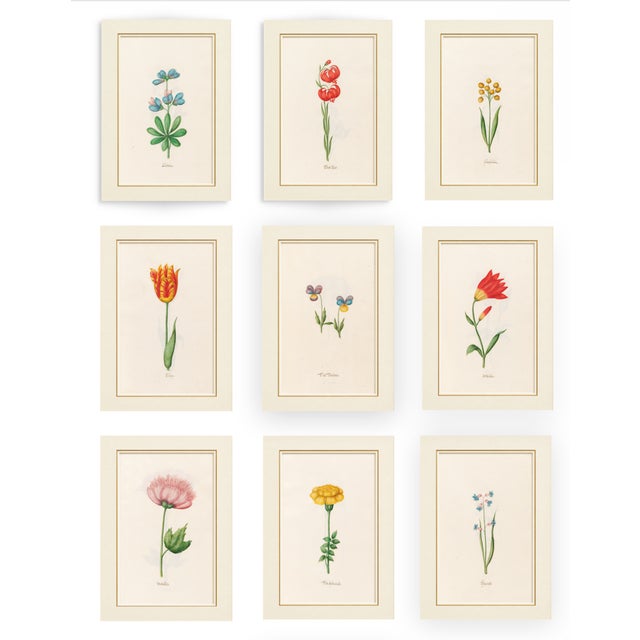 Atelier Aria Lumae Magdalena Rosina Funck Style Botanical Miniature Passe Partout Prints Complete 30 Piece Set A4 For Sale - Image 10 of 18