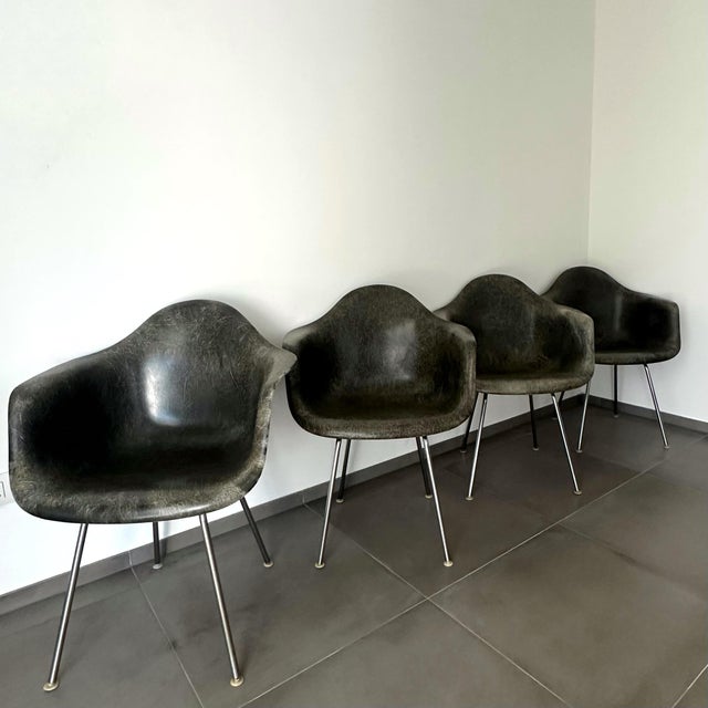Mid-Century Modern Dax Lounge Chairs by Charles and Ray Eames for Herman Miller, 1950s, Set of 4 For Sale - Image 3 of 13