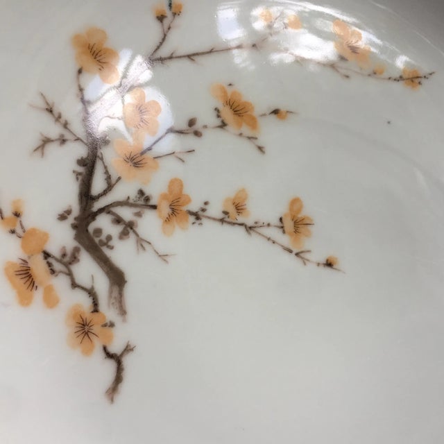 Bavaria by Bareuther Waldsassen Cherry Blossoms Dinnerware - Set of 60 For Sale - Image 4 of 8