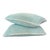 Textile Pair of Indoor/Outdoor Aqua Lumbar Pillows With White Contrast Welt For Sale - Image 7 of 8