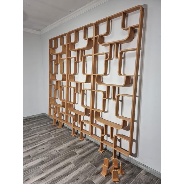 Mid-Century Modern Room Dividers by Ludvik Volak for Drevopodnik Holesov, 1950s, Set of 3 For Sale - Image 3 of 11