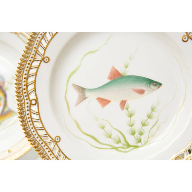 Flora Danica Fish Plates, Vintage and Vibrantly Painted, Royal Copenhagen - Set of 12 For Sale - Image 10 of 13