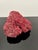 Large Specimen of Red Pipe Organ Coral For Sale - Image 6 of 9