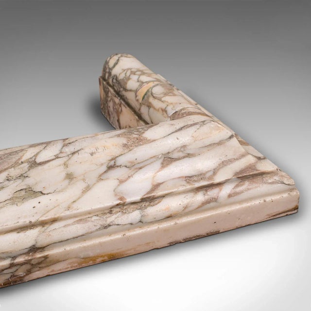 Early 19th Century 1820's Grand Antique Marble Fireplace Surround For Sale - Image 5 of 9