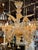 Gorgeous Murano amber and clear glass Venetian style 5 light chandelier. Each of these chandeliers is handmade in Murano,...