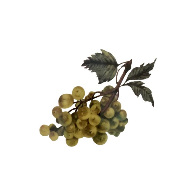 Cream Royal Vale Fruit Design Bone China Flowerpot / Champagne Bucket - Made in England For Sale - Image 8 of 10