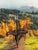 June Carey Fall Vineyard Limited Edition Giclée, Signed For Sale - Image 4 of 14