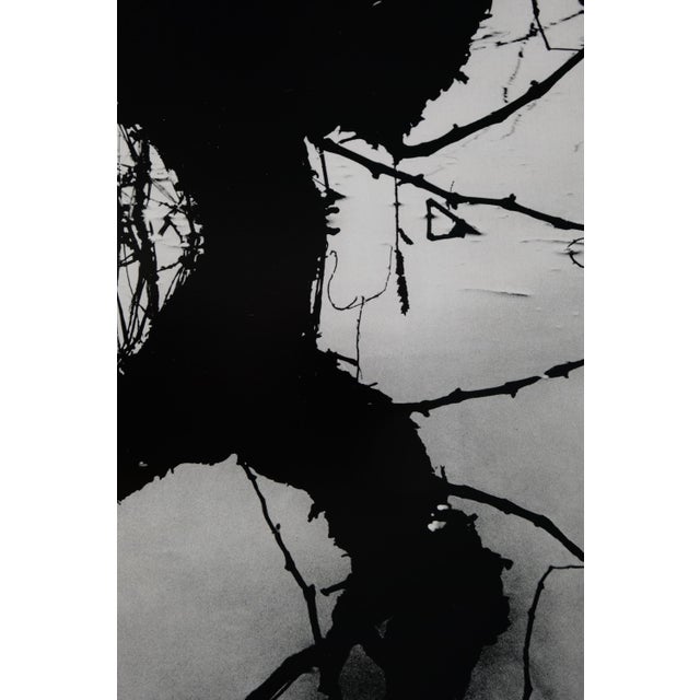 Lucien Clergue, Secret Camargue, 1960, Heliogravure For Sale - Image 4 of 7