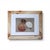 Classic yet modern pair of vintage sea shell prints framed to look vintage in white matte board and burl wood veneer...