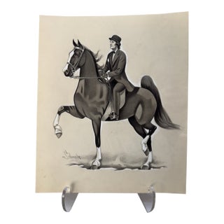 1940s Original Signed Graphite Illustration of Saddle Horse With Rider, 11 X 9½ In. For Sale