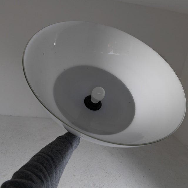 Aminta Floor Lamp for Artemide, Milan, 1960s For Sale - Image 6 of 10