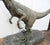Lifesize Bronze Velociraptor Dinosaur Statue For Sale - Image 3 of 10