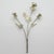 Vintage Italian Handmade Genuine Silver Orchid Branch Long Miniature, 1950s For Sale - Image 13 of 13