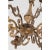French 19th Century Scrolling Brass Chandelier For Sale In Baton Rouge - Image 6 of 10