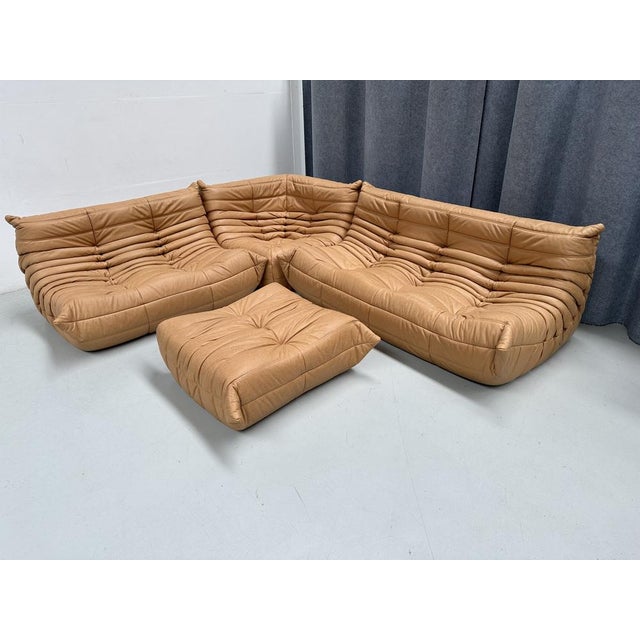 Mid-Century Modern French Camel Brown Leather Togo Living Room Set attributed to Michel Ducaroy for Ligne Roset, Set of 4 For Sale - Image 3 of 15