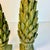 Mid-Century Neoclassical Hollywood Regency Greek Laurel Tree Topiaries - A Pair For Sale - Image 12 of 17