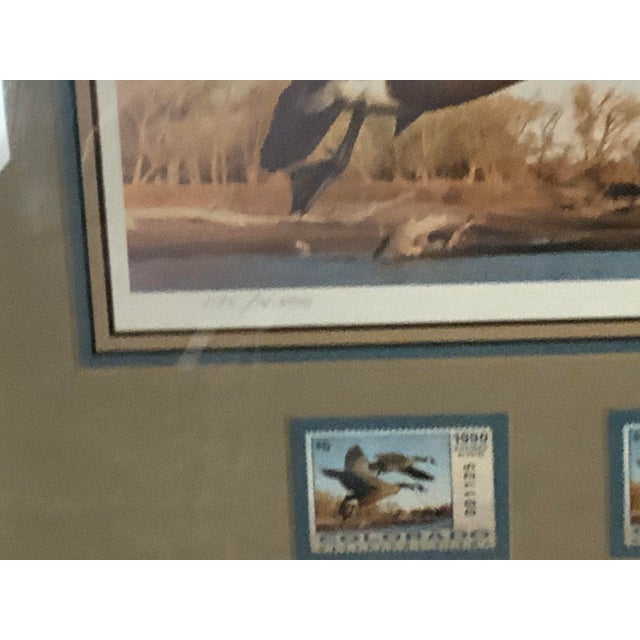 1982-1983 Federal Duck Stamp Limited-Edition Print “Canvasback” by David Maass- Framef For Sale - Image 6 of 8