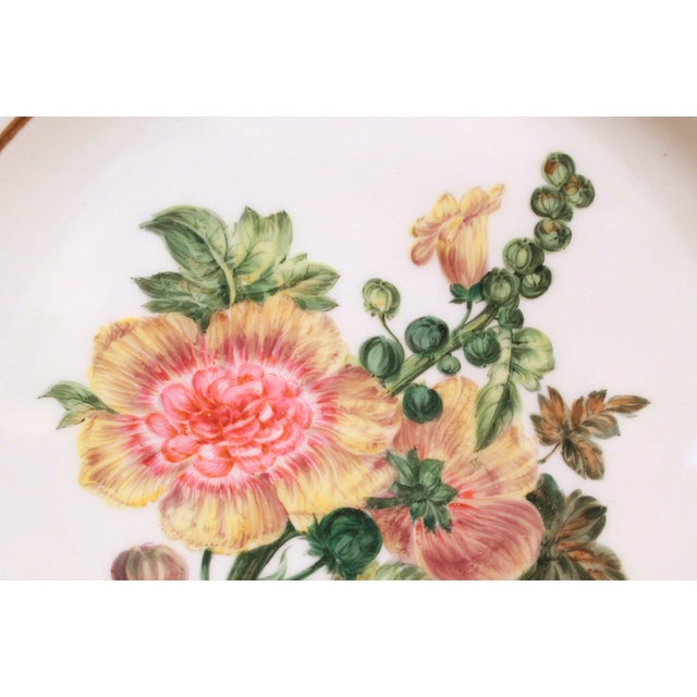 Ceramic Pair of Deroche Paris Porcelain Floral Plates, 19th Century For Sale - Image 7 of 11