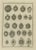 Thomas Astle, Seals of Nobility and Important Men of Scotland, 1792, Print For Sale