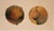 Spanish Small Oil Painting of Pears on Paper For Sale - Image 3 of 7
