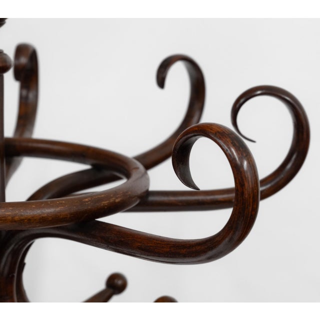 Large Bentwood Coat Stand, 1900s For Sale - Image 6 of 15