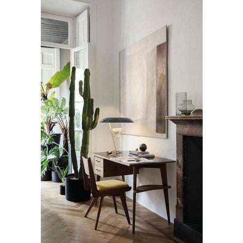 Model 548 Lamp in Polished Brass with Grey Difuser by Gino Sarfatti for Astep For Sale - Image 9 of 13