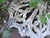 1990s Cast Iron Birdbath, 1990s For Sale - Image 5 of 17