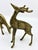 Vintage Late 20th Century Brass Deer Statues - A Set of 3 For Sale In New York - Image 6 of 9
