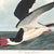Black Skimmer, Vintage Art Print Reproduction From Birds of America by John James Audubon, 24" X 24" For Sale In Buffalo - Image 6 of 10