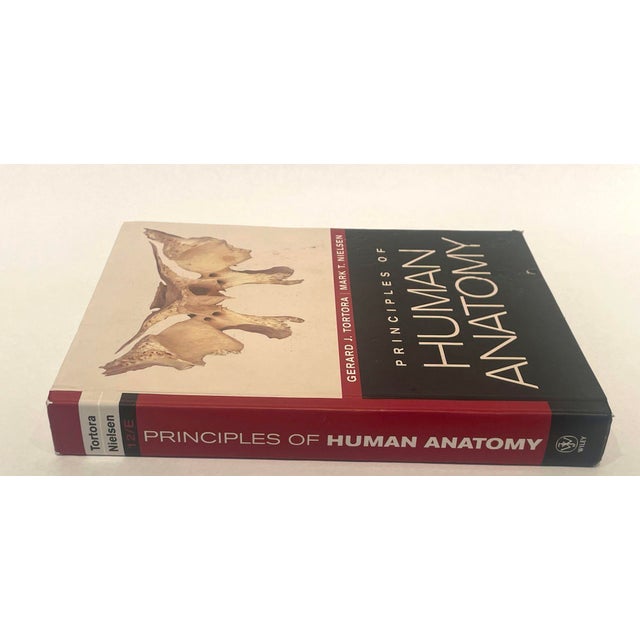 Contemporary Principles of Human Anatomy by Gerard J. Tortora Mark Nielsen 2012 For Sale - Image 3 of 9