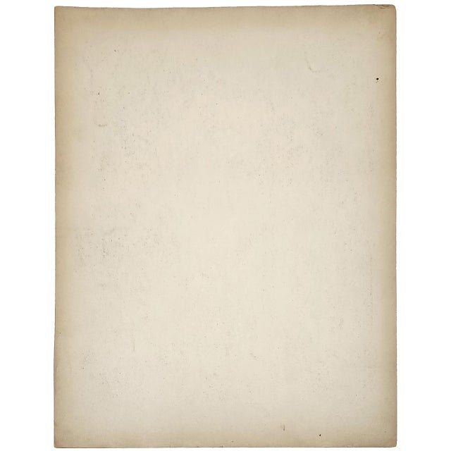 Original Seguy Insect From 1924 Antique Pochoir Plate #4 For Sale In Atlanta - Image 6 of 12