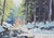 Original Oil Landscape, a Winter Stream in the Woods For Sale - Image 4 of 5