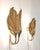 Brass Wall Lamps by Tommaso Barbi for G&G Studio, Italy, 1960s, Set of 2 For Sale - Image 13 of 16