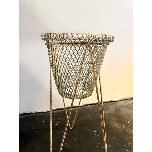 Mid-Century Modern Mid-Century White Wire Planter from the Festival of Britain, 1951, Set of 2 For Sale - Image 3 of 5