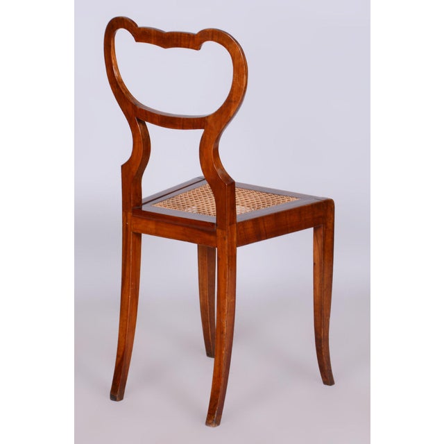 Biedermeier Polish Chair in Walnut Vener & Rattan, Austria, 1830s For Sale - Image 10 of 10