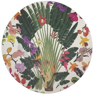 Nicolette Mayer Fantasy Tropical White 16" Round Pebble Placemats, Set of 4 For Sale