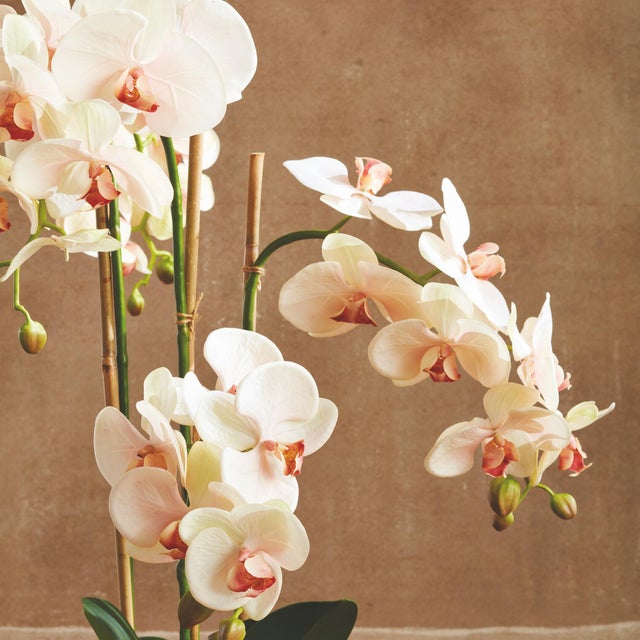Early 21st Century Phalaenopsis Orchid Drop-In 30" For Sale - Image 5 of 5