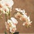 Early 21st Century Phalaenopsis Orchid Drop-In 30" For Sale - Image 5 of 5