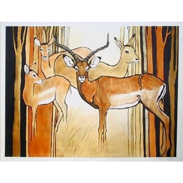 In the center of the composition, a male impala with long horns stares straight at the viewer while three females stand...