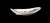 Roger Capron (1922-2006) in Vallauris, large free-form bowl with stylized polychrome decoration. This piece has an...