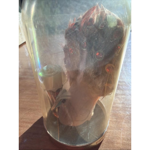 Vintage Max Factor PRIMITIF promotional display featuring a peacock under an original acrylic dome. This is a mid-century...