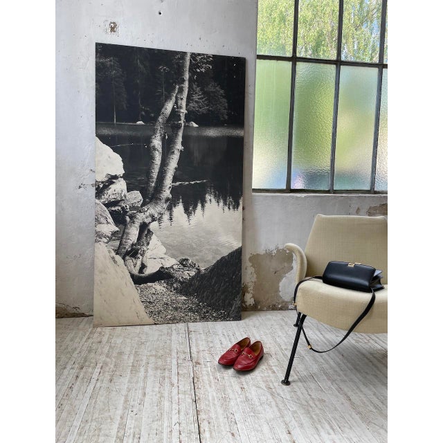 Black and White Tree Photograph in Wood & Paper, 1970s For Sale - Image 12 of 18