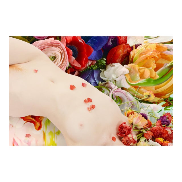 Flora 01, Photograph, Floral, 2015 For Sale